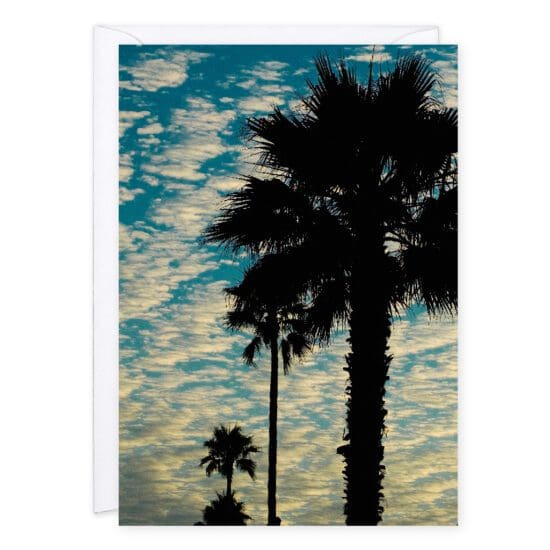 Image of Santa Cruz, California sky. Pictures shows dreamy clouds that look like cotton candy, and palm trees.