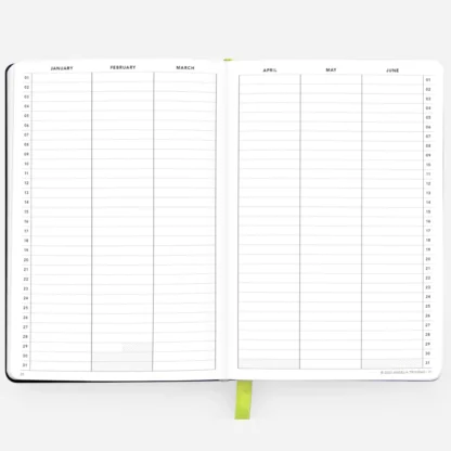 Passion Planner Daily Undated.